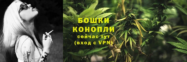 крисы Ростов