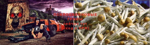 спайс Протвино