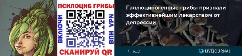 Псилоцибиновые грибы мицелий  Барабинск 