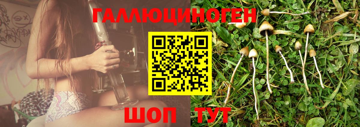Барабинск  Псилоцибиновые грибы Psilocybe  Вход с VPN 