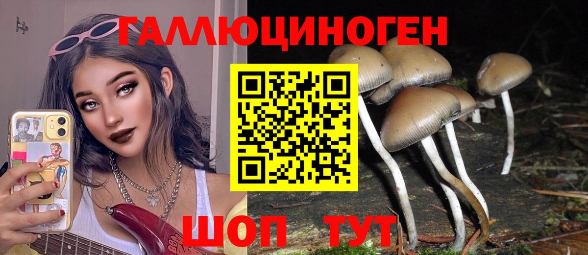 Псилоцибиновые грибы прущие грибы Барабинск