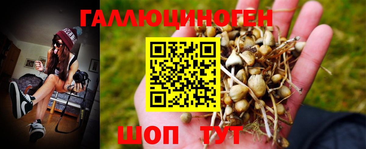 Псилоцибиновые грибы MAGIC MUSHROOMS Барабинск